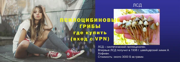 PSILOCYBIN Михайловск
