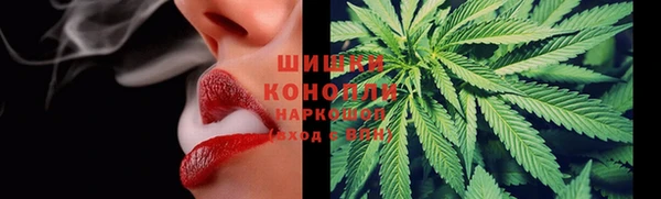 PSILOCYBIN Михайловск