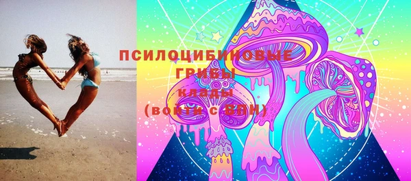 PSILOCYBIN Михайловск