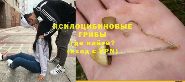 PSILOCYBIN Михайловск