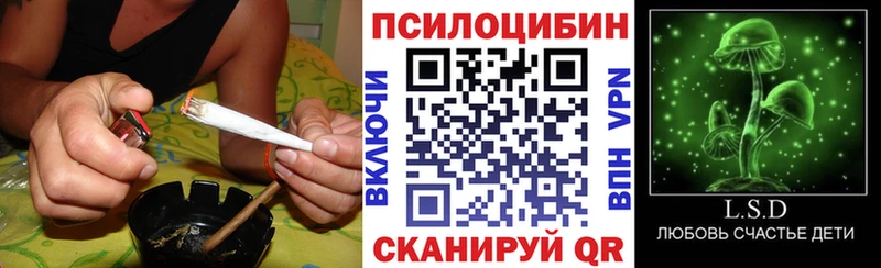 Галлюциногенные грибы Magic Shrooms  Котельниково 